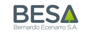 Bernardo Ecenarro Paints